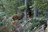 dsc_0014.jpg