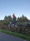 dsc_0002.jpg