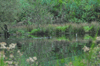 dsc_0004.jpg