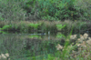 dsc_0006.jpg