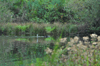 dsc_0007.jpg