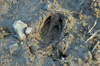 dsc_0041.jpg