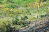 dsc_0014.jpg
