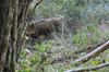 dsc_0019.jpg