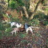 dsc_0021.jpg