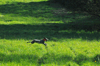 dsc_0025.jpg