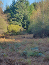 dsc_0033.jpg
