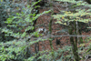 dsc_0008.jpg