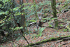 dsc_0009.jpg