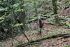 dsc_0010.jpg