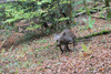 dsc_0011.jpg