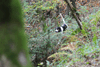 dsc_0012.jpg