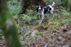 dsc_0013.jpg