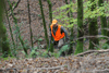 dsc_0018.jpg