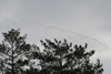 dsc_0019.jpg