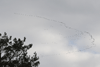 dsc_0020.jpg