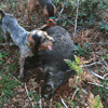 dsc_0035.jpg
