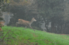 dsc_0016.jpg