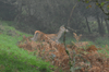 dsc_0019.jpg