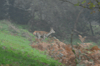 dsc_0020.jpg