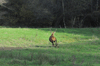 dsc_0015.jpg