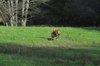 dsc_0016.jpg