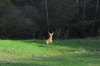 dsc_0017.jpg
