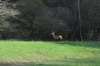 dsc_0018.jpg