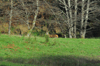 dsc_0019.jpg