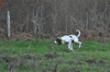 dsc_0020.jpg