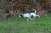 dsc_0021.jpg