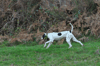 dsc_0022.jpg