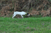dsc_0023.jpg