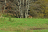 dsc_0024.jpg