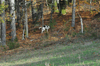 dsc_0026.jpg