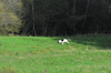 dsc_0027.jpg