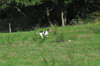 dsc_0028.jpg