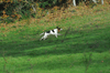 dsc_0029.jpg