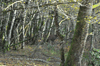 dsc_0034.jpg