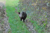 dsc_0038.jpg