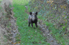dsc_0039.jpg