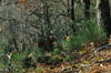 dsc_0020.jpg