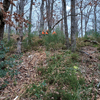 dsc_0024.jpg