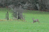 dsc_0007.jpg
