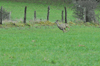 dsc_0008.jpg