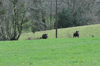 dsc_0009.jpg