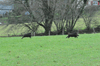 dsc_0012.jpg