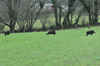 dsc_0013.jpg