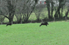 dsc_0014.jpg