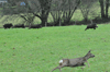 dsc_0015.jpg
